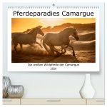 Pferdeparadies Camargue (hochwertiger Premium Wandkalender 2026 DIN A2 quer), Kunstdruck in Hochglanz