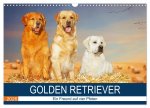 Golden Retriever - Ein Freund auf vier Pfoten (Wandkalender 2026 DIN A3 quer), CALVENDO Monatskalender
