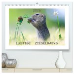 Lustige Zieselbabys (hochwertiger Premium Wandkalender 2026 DIN A2 quer), Kunstdruck in Hochglanz
