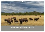 American Wildlife (Wandkalender 2026 DIN A3 quer), CALVENDO Monatskalender