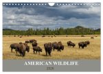 American Wildlife (Wandkalender 2026 DIN A4 quer), CALVENDO Monatskalender