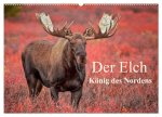 Der Elch - König des Nordens (Wandkalender 2026 DIN A2 quer), CALVENDO Monatskalender