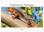 Eidechsen Europas (Wandkalender 2026 DIN A2 quer), CALVENDO Monatskalender