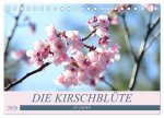 Die Kirschblüte in Japan (Tischkalender 2026 DIN A5 quer), CALVENDO Monatskalender