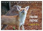 Freche Füchse - lustige Sprüche (Tischkalender 2026 DIN A5 quer), CALVENDO Monatskalender