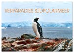 Tierparadies Südpolarmeer (Wandkalender 2026 DIN A2 quer), CALVENDO Monatskalender