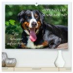 Appenzeller Sennenhund - Ein Schweizer auf 4 Pfoten (hochwertiger Premium Wandkalender 2026 DIN A2 quer), Kunstdruck in Hochglanz
