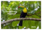 Farbenfrohe Vogelwelt (Wandkalender 2026 DIN A3 quer), CALVENDO Monatskalender