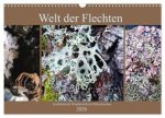 Welt der Flechten (Wandkalender 2026 DIN A3 quer), CALVENDO Monatskalender