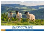 Rhönschafe - Symphatieträger des Biosphärenreservats Rhön (Wandkalender 2026 DIN A4 quer), CALVENDO Monatskalender