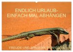 Freude und Spaß an Tierfotos (Wandkalender 2026 DIN A2 quer), CALVENDO Monatskalender