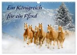 Ein Königreich für ein Pferd (Wandkalender 2026 DIN A3 quer), CALVENDO Monatskalender