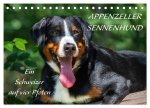 Appenzeller Sennenhund - Ein Schweizer auf 4 Pfoten (Tischkalender 2026 DIN A5 quer), CALVENDO Monatskalender