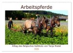Arbeitspferde - Alltag des belgischen Kaltbluts (Wandkalender 2026 DIN A2 quer), CALVENDO Monatskalender