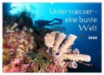 Unterwasser - eine bunte Welt (Wandkalender 2026 DIN A2 quer), CALVENDO Monatskalender