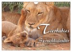 Tierbabies - Spruchkalender (Wandkalender 2026 DIN A4 quer), CALVENDO Monatskalender