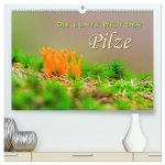 Die bunte Welt der Pilze (hochwertiger Premium Wandkalender 2026 DIN A2 quer), Kunstdruck in Hochglanz