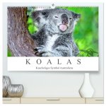 Koalas - Kuscheliges Symbol Australiens (hochwertiger Premium Wandkalender 2026 DIN A2 quer), Kunstdruck in Hochglanz