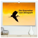 Die Graureiher vom Ahnepark (hochwertiger Premium Wandkalender 2026 DIN A2 quer), Kunstdruck in Hochglanz