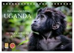 UGANDA - Berggorillas & Chimps (Tischkalender 2026 DIN A5 quer), CALVENDO Monatskalender