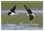 Limikolen - Watvögel Europas (Tischkalender 2026 DIN A5 quer), CALVENDO Monatskalender