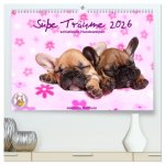 Süße Träume 2026 - schlafende Hundewelpen (hochwertiger Premium Wandkalender 2026 DIN A2 quer), Kunstdruck in Hochglanz