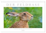 Der Feldhase (Wandkalender 2026 DIN A4 quer), CALVENDO Monatskalender