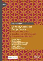 Electricity Capital and Energy Poverty