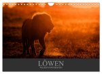 Löwen Wildlife-Fotografien (Wandkalender 2026 DIN A4 quer), CALVENDO Monatskalender
