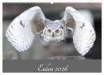 Eulen 2026 (Wandkalender 2026 DIN A2 quer), CALVENDO Monatskalender