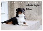 Australian Shepherd Tri Color (Tischkalender 2026 DIN A5 quer), CALVENDO Monatskalender
