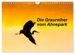 Die Graureiher vom Ahnepark (Wandkalender 2026 DIN A4 quer), CALVENDO Monatskalender