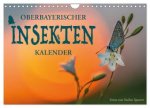 Oberbayerischer Insekten Kalender (Wandkalender 2026 DIN A4 quer), CALVENDO Monatskalender