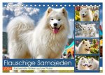 Flauschige Samojeden. Zauberhafte Wolken auf vier Pfoten (Tischkalender 2026 DIN A5 quer), CALVENDO Monatskalender