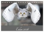 Eulen 2026 (Tischkalender 2026 DIN A5 quer), CALVENDO Monatskalender