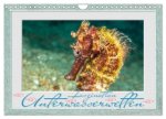 Faszination Unterwasserwelten (Wandkalender 2026 DIN A4 quer), CALVENDO Monatskalender