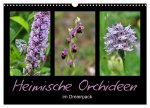 Heimische Orchideen im Dreierpack (Wandkalender 2026 DIN A3 quer), CALVENDO Monatskalender