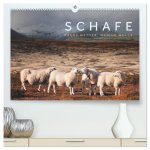 Schafe - Raues Wetter, weiche Wolle (hochwertiger Premium Wandkalender 2026 DIN A2 quer), Kunstdruck in Hochglanz