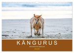 Kängurus, sprunghafte Gesellen (Wandkalender 2026 DIN A3 quer), CALVENDO Monatskalender