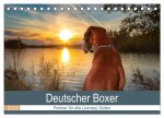 Deutscher Boxer (Tischkalender 2026 DIN A5 quer), CALVENDO Monatskalender