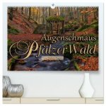 Augenschmaus Pfälzer Wald (hochwertiger Premium Wandkalender 2026 DIN A2 quer), Kunstdruck in Hochglanz