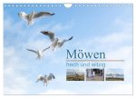 Möwen frech und witzig (Wandkalender 2026 DIN A4 quer), CALVENDO Monatskalender