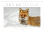 Der Rotfuchs (Wandkalender 2026 DIN A2 quer), CALVENDO Monatskalender