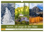 Komm, ich zeige dir den Wald (Wandkalender 2026 DIN A3 quer), CALVENDO Monatskalender