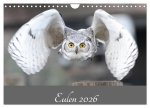 Eulen 2026 (Wandkalender 2026 DIN A4 quer), CALVENDO Monatskalender