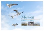 Möwen frech und witzig (Wandkalender 2026 DIN A2 quer), CALVENDO Monatskalender