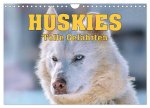 Huskies - Tolle Gefährten (Wandkalender 2026 DIN A4 quer), CALVENDO Monatskalender