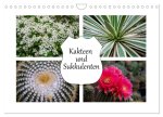 Kakteen und Sukkulenten (Wandkalender 2026 DIN A4 quer), CALVENDO Monatskalender