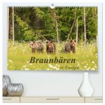 Braunbären in Europa (hochwertiger Premium Wandkalender 2026 DIN A2 quer), Kunstdruck in Hochglanz