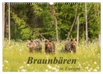 Braunbären in Europa (Wandkalender 2026 DIN A3 quer), CALVENDO Monatskalender